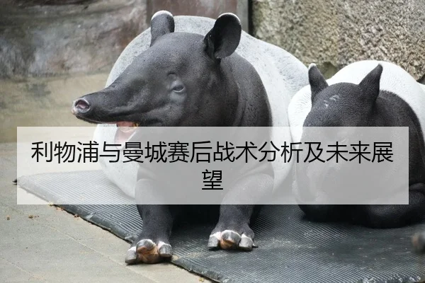 利物浦与曼城赛后战术分析及未来展望